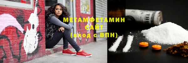 PSILOCYBIN Бородино