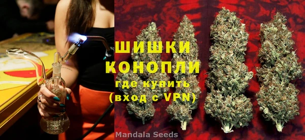 PSILOCYBIN Бородино