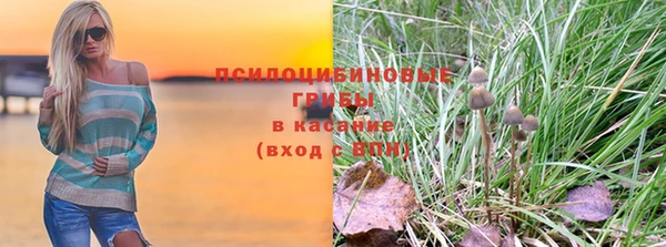 винт Богородицк