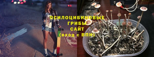 дживик Богородск