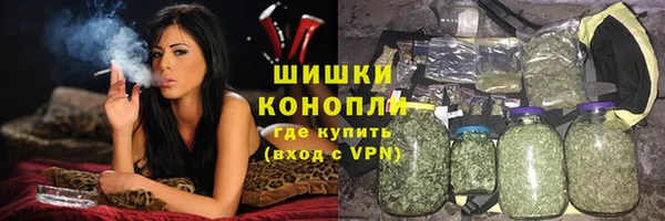 дживик Богородск
