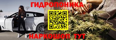 бошки Тара