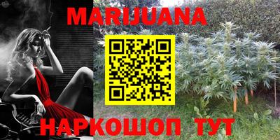 бошки Тара