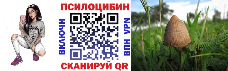 Галлюциногенные грибы MAGIC MUSHROOMS  купить наркотики цена  Валуйки 
